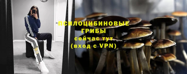 ГАЛЛЮЦИНОГЕННЫЕ ГРИБЫ Алексин