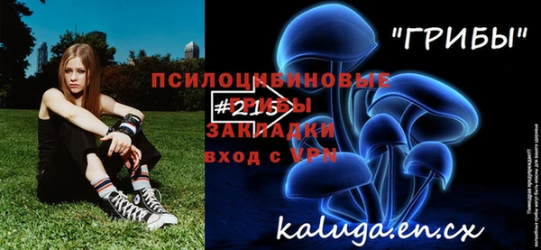 кристаллы Алексеевка