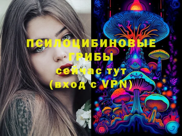 ГАЛЛЮЦИНОГЕННЫЕ ГРИБЫ Алексин