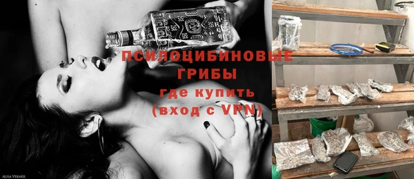 ГАЛЛЮЦИНОГЕННЫЕ ГРИБЫ Алексин