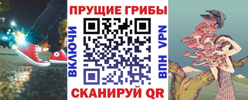 Псилоцибиновые грибы GOLDEN TEACHER Узловая