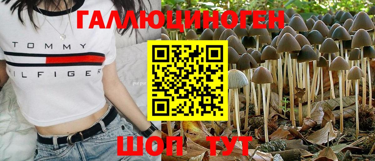 Псилоцибиновые грибы MAGIC MUSHROOMS Узловая